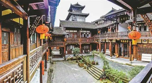 猫猫冒险团