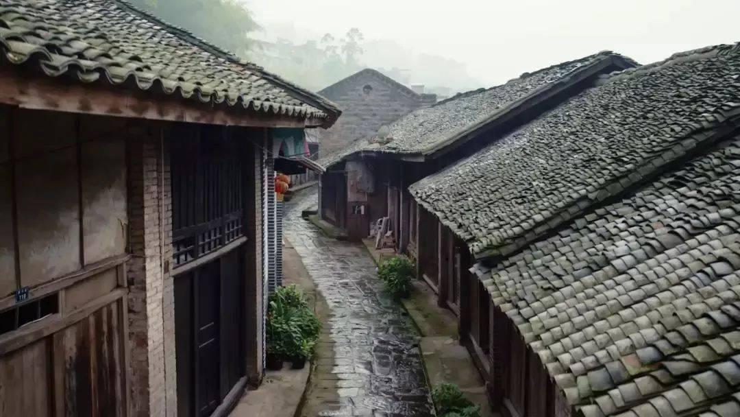 小僵尸射飞鸟